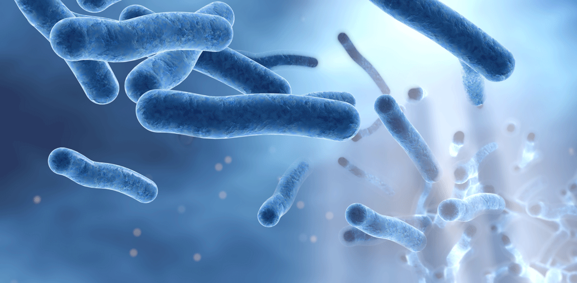 Alt om legionella og temperatur i varmtvannsberederen